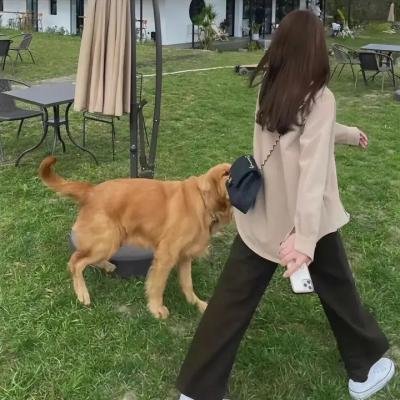 怪奇艾玛